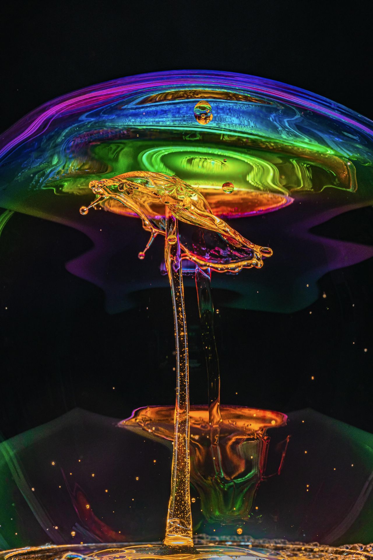 Bunte Welt